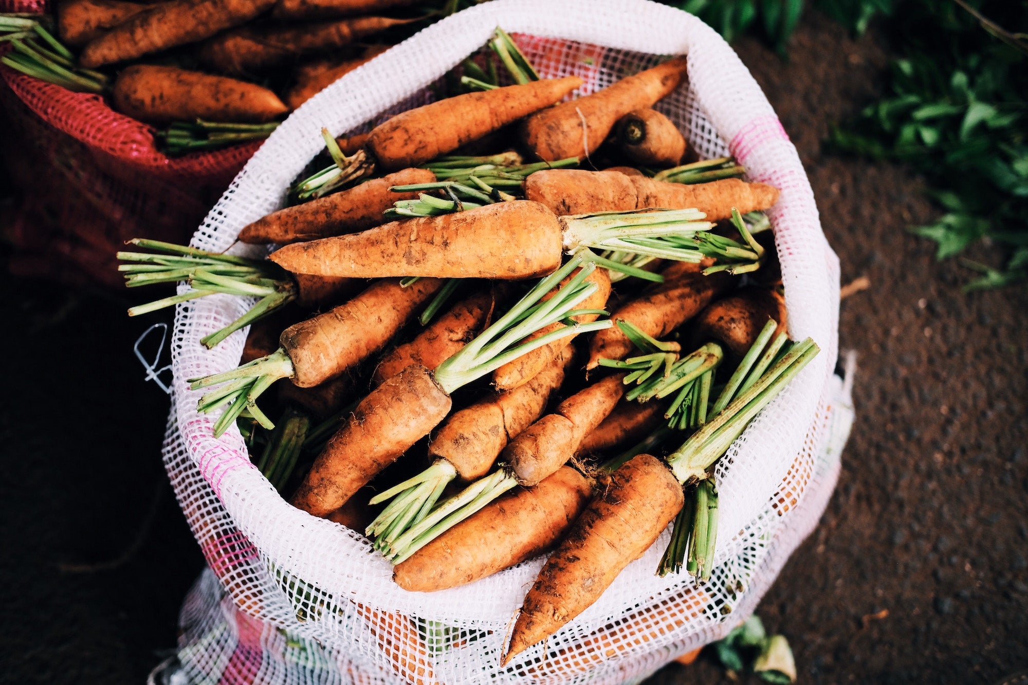 5 Tips to Help Kids Eat their Vegetables